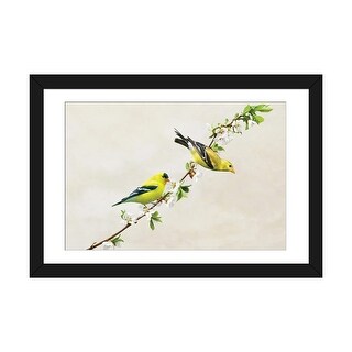 iCanvas "American Goldfinches On Cherry Tree Branch" by Laura D Young